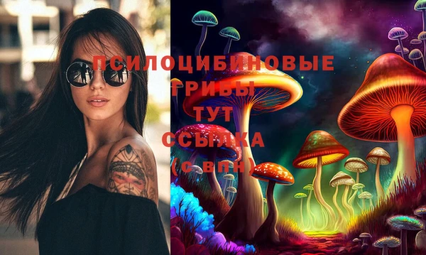 spice Баксан
