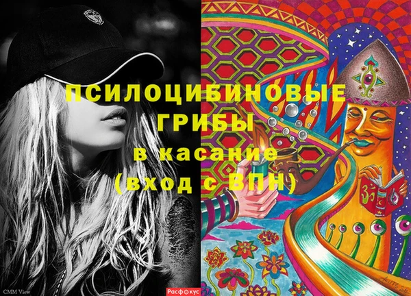 ПСИЛОЦИБИНОВЫЕ ГРИБЫ Балабаново