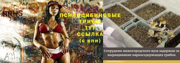spice Баксан